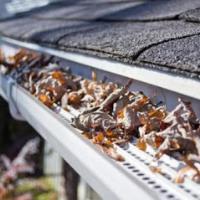 Gutter Cleaning Staten Island image 5